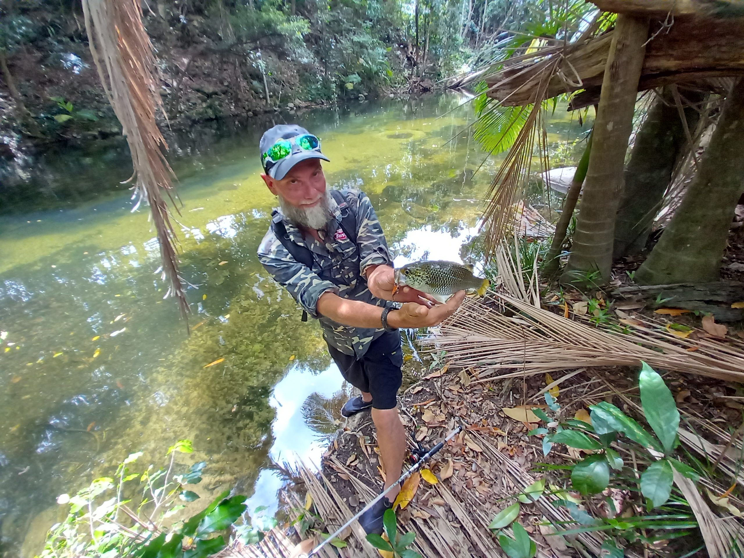 Fishing in tropical rainforests is an adventure like no other. Catch some big fish on this unique fishing trip!
